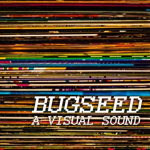 Bugseed - A Visual Sound (2021)