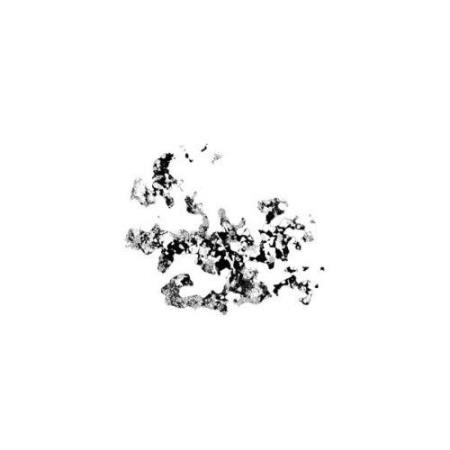 Serb - Transient Recs 2 (2021)