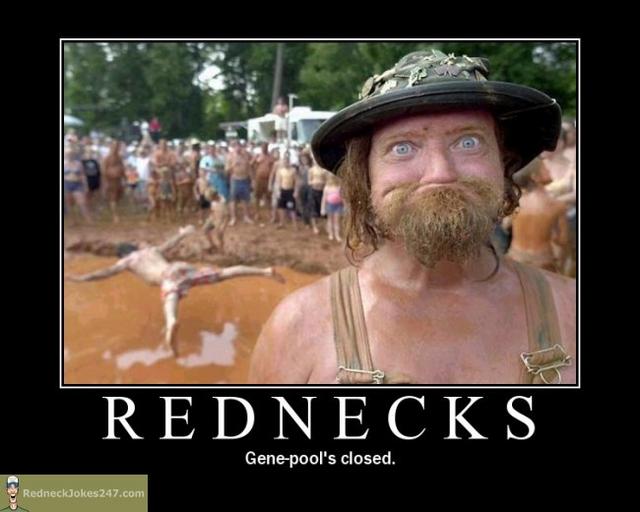 [Image: Redneck-gene-pool.jpg]