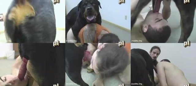 3425 RS Two Guys Take Turns Fucking A Rottweiler Bestiality Video - Two Guys Take Turns Fucking A Rottweiler Bestiality Video