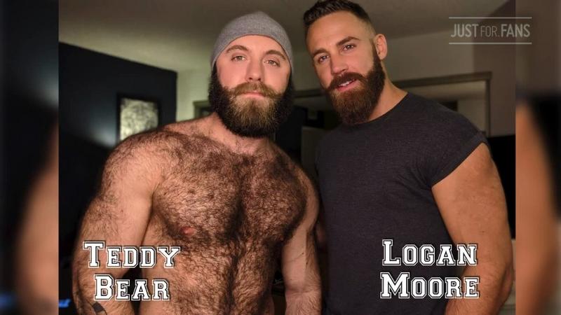 Logan-Moore-Teddy-Bear.jpg