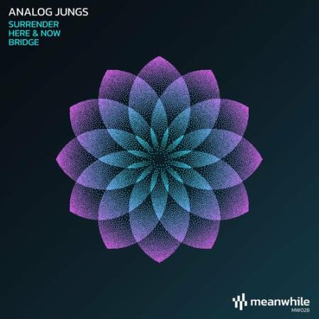 Analog Jungs - Surrender (2022)