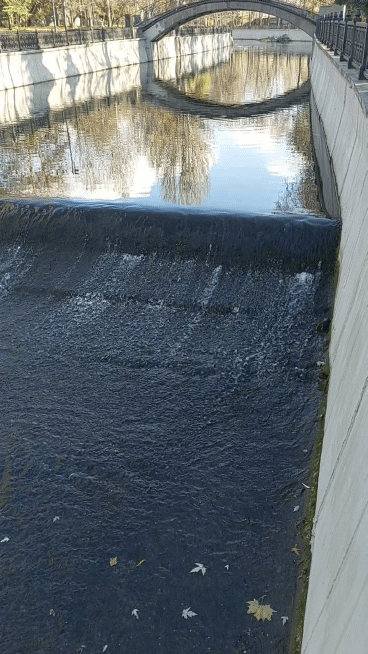 20211125-140016-1.gif