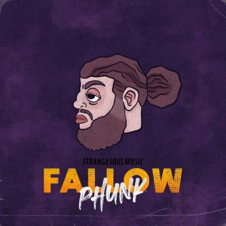 Strange Soul Music - Fallow Phunk (2022)