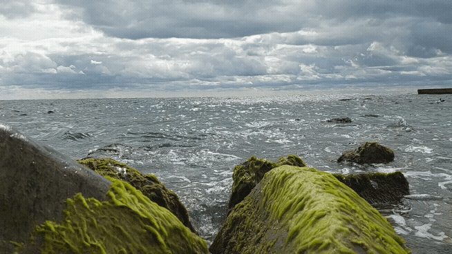 20210924-150508.gif