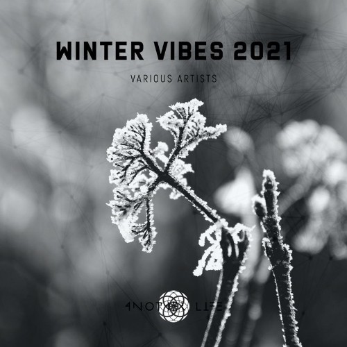 Winter Vibes 2021 (2022)