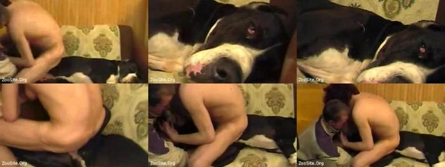 5205 RS Cuckolding With Beastiality Girls Doggy - Cuckolding With Beastiality Girls Doggy