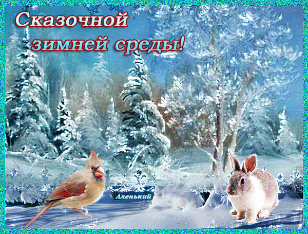 image.gif