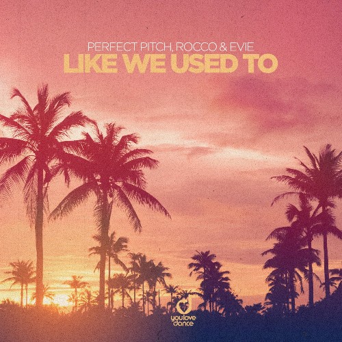 Perfect Pitch & Rocco & Evie - Like We Used To (2022)