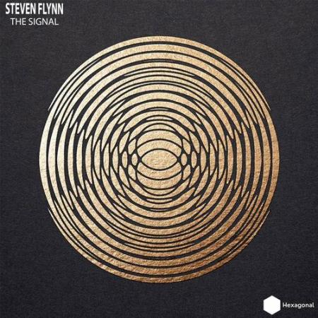 Steven Flynn - The Signal (2022)