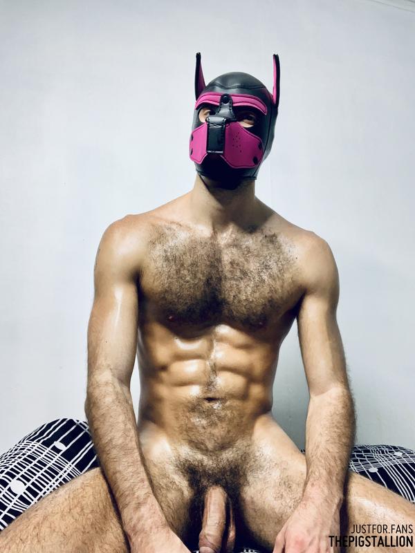 The-Pig-Stallion.jpg