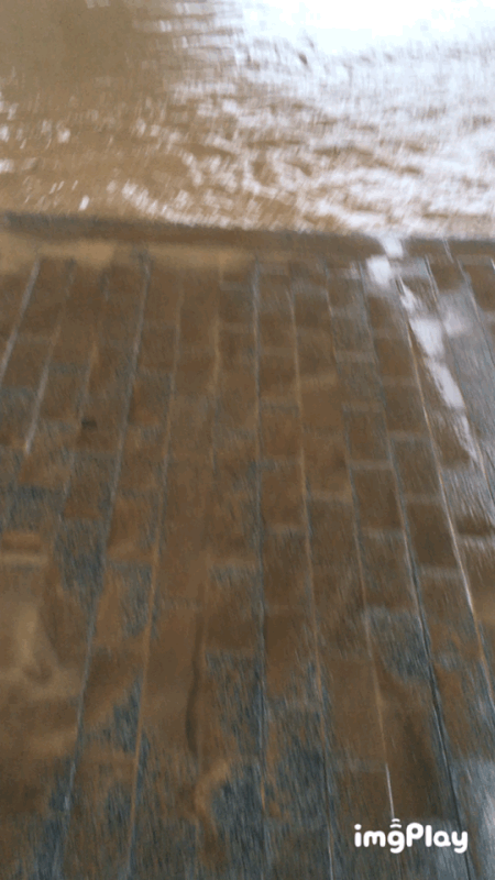 01-FFB3-F0-220-A-4941-B763-327-BD813-EA95.gif