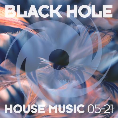 Black Hole: Black Hole House Music 05-21 (2021)