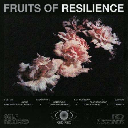 Fruits Of Resilience (Self Remixed) (2022)