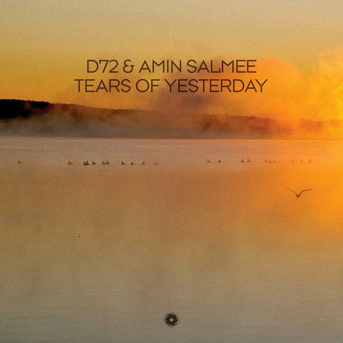 D72 & Amin Salmee - Tears of Yesterday (2022)