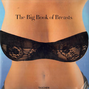 The Big Book of Breasts The Golden Age of Natural Curves