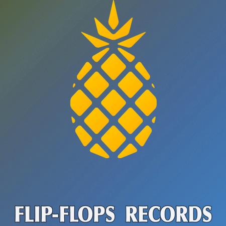 Flip-Flops - Implementation (2021)