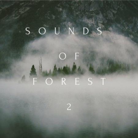 Sounds of Forest 2 (2022)