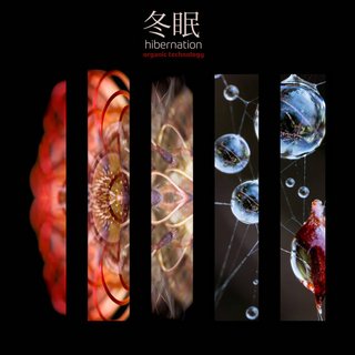Hibernation - Organic Technology (2020) .Flac