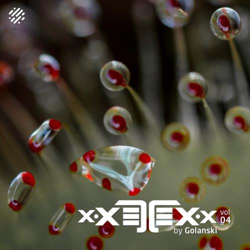 XXETEXx, Vol. 04 (2021)