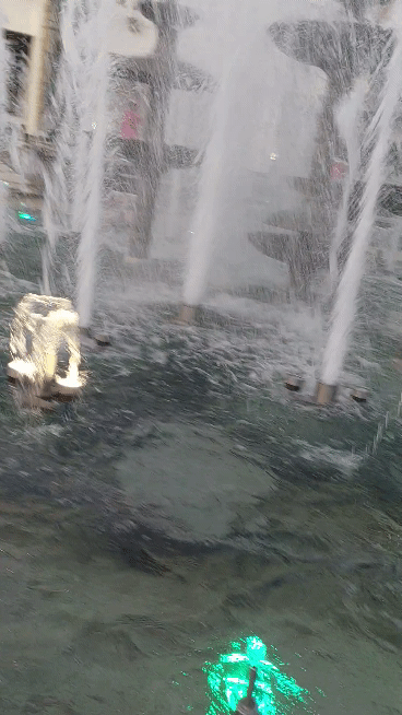 20210523-201109-1.gif