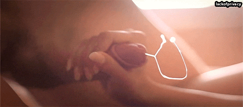 337.gif