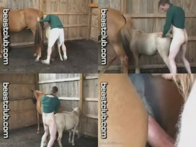 0029 ZS Horse Man Fucks Pony And Horse - Horse Man Fucks Pony And Horse / by PetSexTV.Net [avi/76.23 MB]