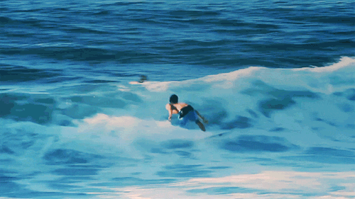 surfing.gif