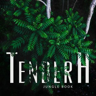 Tender H - Jungle Book (2020) .Flac
