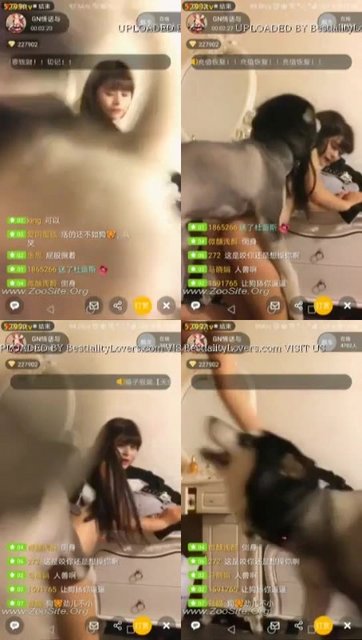 058 Web C Japan Cute Teen Try Fuck With His Dog On Webcam Zoophilia - Japan Cute Teen Try Fuck With His Dog On Webcam Zoophilia - WebCam Bestiality Sex