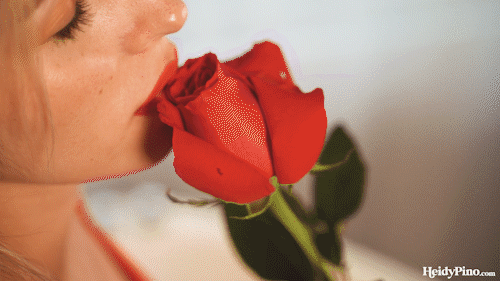 Heidy Pino – Set 001 – Rose Petals – x141