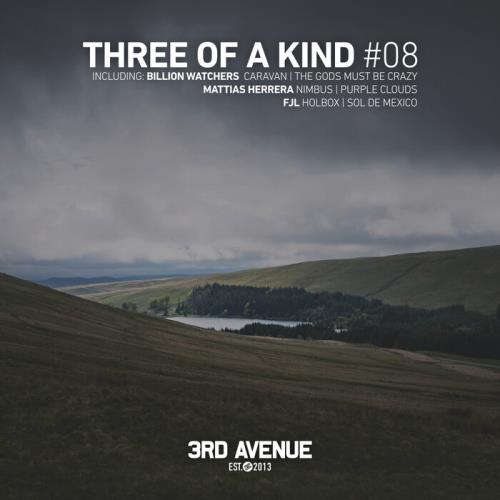 Three Of A Kind #08 (2021)