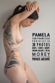 Pamela C4 - x38 - 3000x1823 (Feb 19, 2022)