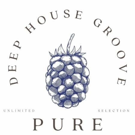 Pure Deep Groove (2022)