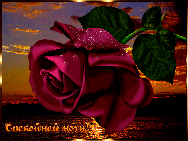 image.gif