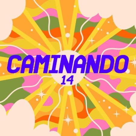 Flower Power - Caminando 14 (2021)