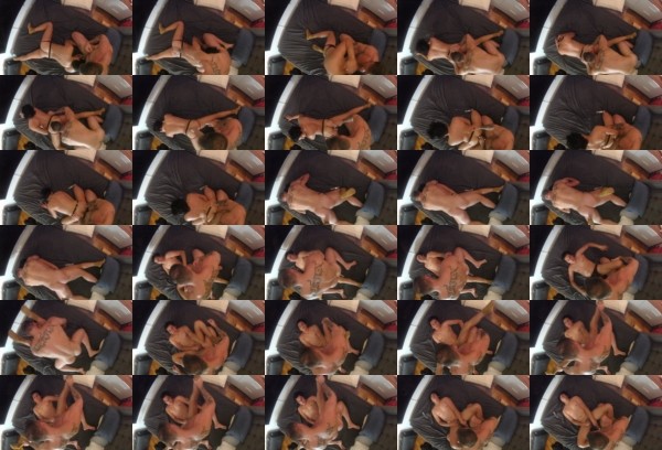 jfmxXG1R.jpg