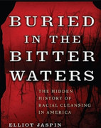Buried in the Bitter Waters by Elliot Jaspin