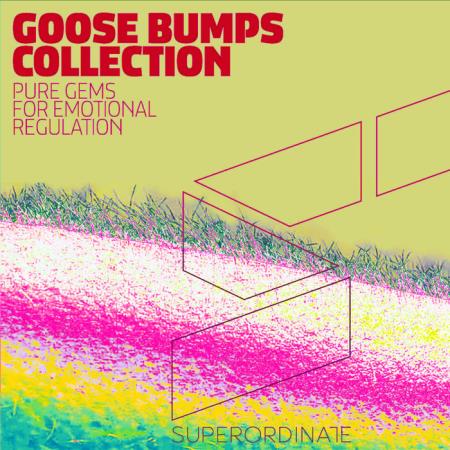 Goose Bumps Collection, Vol. 6 (2021)