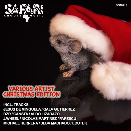 Safari Groove Music - CHRISTMAS EDITION (2022)