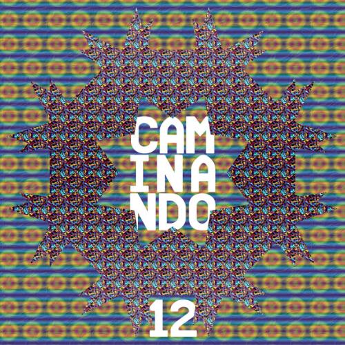 Flower Power - Caminando 12 (2021)