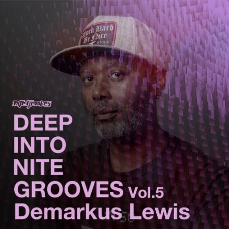 Deep Into Nite Grooves, Vol. 5 (2022)