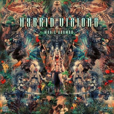 Voodoo Hoodoo Recordings - HYBRiD VISION (2022)