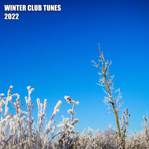 Winter Club Tunes 2022 (2021)