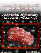 Learn Photoshop CC With Pictures (1st Edition) The Visual & Fast Way To Learn Phot...