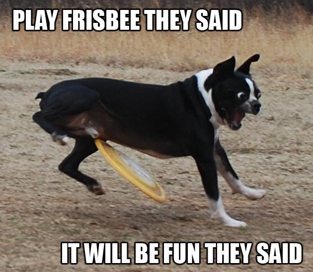 [Image: frisbee-2.jpg]