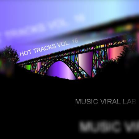 Hot Tracks Vol. 16 (2021)