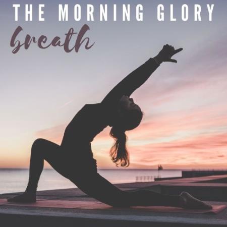 Noclouds Chillout - The Morning Glory Sheath (Compilation) (2021)