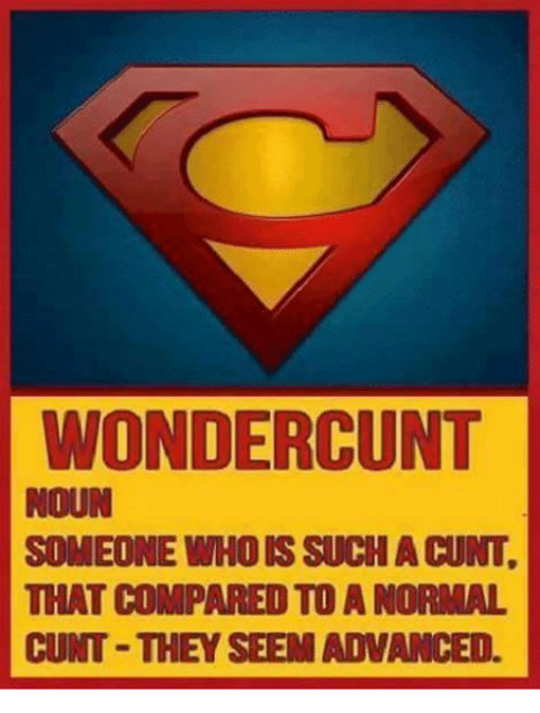 [Image: wondercunt-noun-someone-who-is-such-a-cu...547969.png]