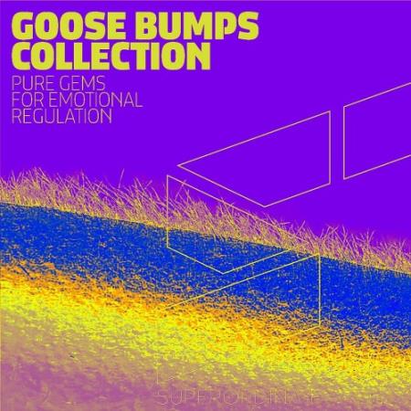 Goose Bumps Collection, Vol. 7 (2022)